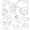 Cats Cats temporary tattoo