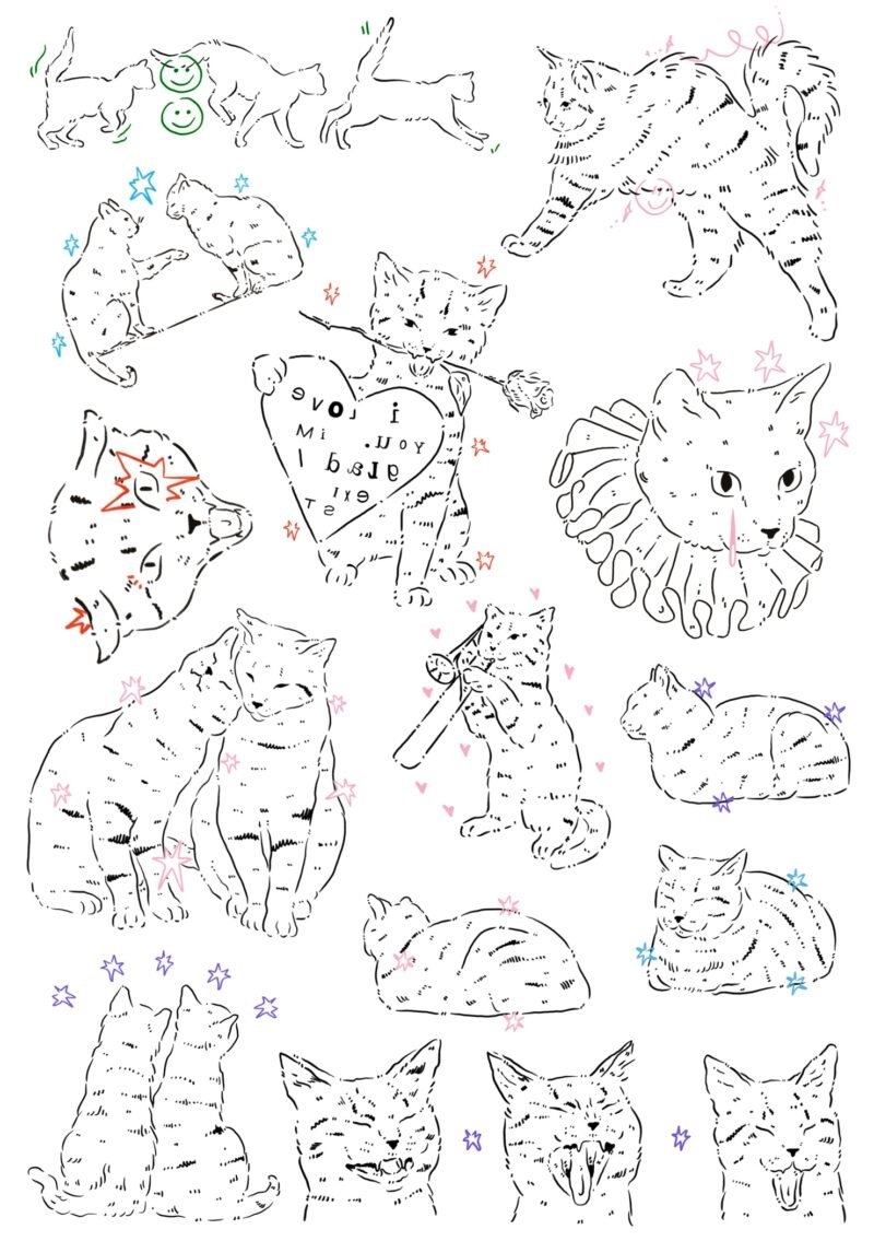 Cats Cats temporary tattoo