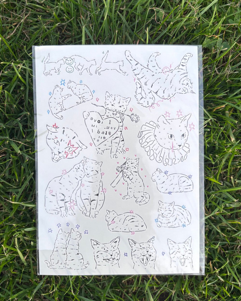Cats temporary tattoo