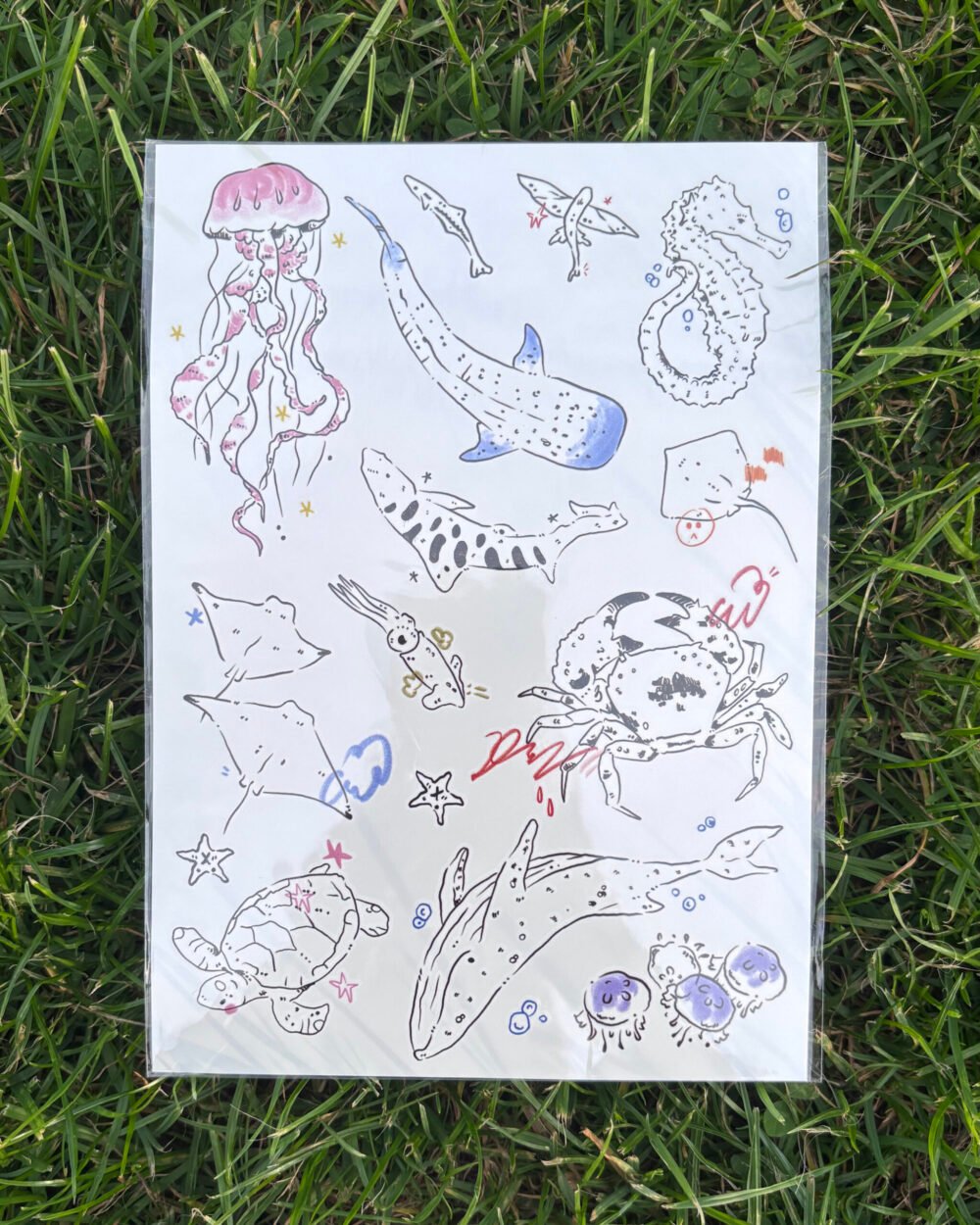 Marine life temporary tattoo